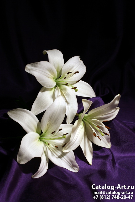 White lilies 11